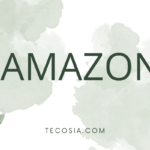 Income Using Amazon
